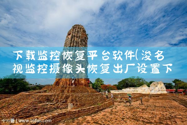 下载监控恢复平台软件