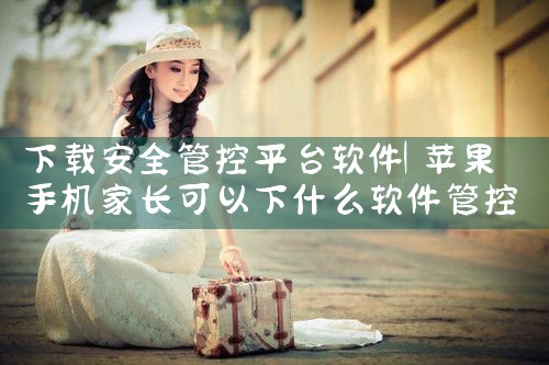 下载安全管控平台软件