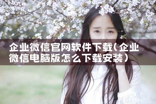 企业微信官网软件下载
