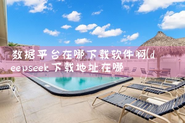 数据平台在哪下载软件啊