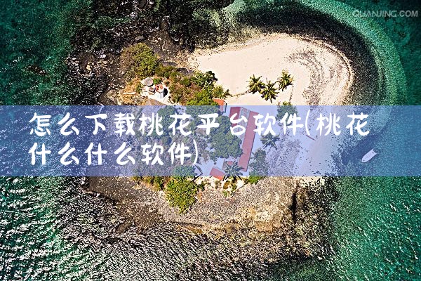 怎么下载桃花平台软件