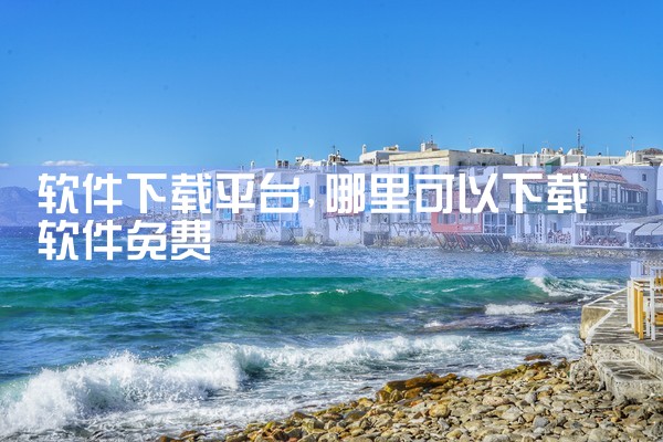 软件下载平台