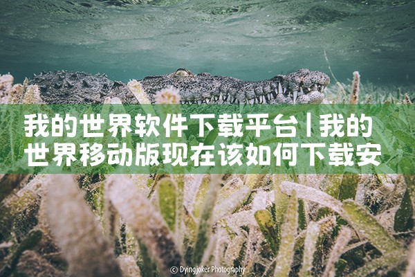 我的世界软件下载平台