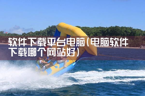 软件下载平台电脑